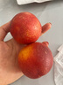 【現(xiàn)貨】紅油桃新鮮應季當季水果滿臉滿天星猴哥新1黃白肉隨機發(fā) 帶箱2斤凈重1.6-1.8斤【單果60g+】 曬單實拍圖