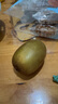佳沛（zespri）新西蘭 陽光金奇異果12粒禮盒特大果單果約122-146g 獼猴桃 水果 曬單實拍圖