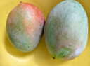 趣嘗鮮 攀枝花凱特芒2粒裝 大果 單果600g+  源頭直發(fā) 一件包郵 曬單實(shí)拍圖