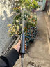 美科（MYTEC）電動(dòng)噴霧器小型農(nóng)用打藥機(jī)家用高壓噴壺澆花消毒噴霧器農(nóng)藥噴灑器 5L電動(dòng)噴霧器【續(xù)航120分鐘】 曬單實(shí)拍圖