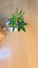 綠島風(fēng)（Nedfon）DPT15-34H 吊頂管道風(fēng)機(jī)單向流抽風(fēng)機(jī)排氣扇衛(wèi)生間廚房換氣扇網(wǎng)吧 曬單實(shí)拍圖
