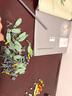 樂高（LEGO）積木拼裝10342 粉黛花束男孩女孩玩具七夕情人節(jié)禮物 曬單實拍圖