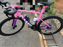 坎普（CAMP）25款SR7公路車碳纖維單車全隱藏內(nèi)走線綜合車架105機(jī)械變速自行車 皇家粉 24速 490碼 700C 曬單實(shí)拍圖