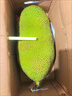 海南正宗菠蘿蜜新鮮水果整箱現(xiàn)摘菠蘿蜜一整個爆甜新鮮當季水果 菠蘿蜜18-22斤 曬單實拍圖
