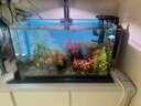 老漁匠魚缸背景燈板led南美缸水草缸水族箱觀賞照明燈rgbw發(fā)光板 漸變背景板40*25cm-APP控制遠(yuǎn)程操控 曬單實(shí)拍圖