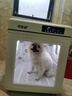 寵智迪寵物烘干箱貓咪烘干機(jī)中型犬狗狗洗澡吹毛吹干神器家商用可折疊 100L烘干箱【40斤內(nèi)貓狗通用】 曬單實(shí)拍圖