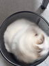 puppytie貓咪牽引繩遛貓背心式貓貓胸背帶貓繩外出防掙脫寵物用品 藍(lán)-胸背帶+牽引繩 XS-超小型建議 5-12斤 曬單實拍圖