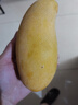 譯優(yōu)農海南三亞金煌芒果新鮮水果當季熱帶水仙特大核薄爆甜心芒 9斤裝【單果400g起】精選大果 曬單實拍圖