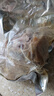 德州風(fēng)味扒雞750g/只 燒雞熟食速食即食德州扒雞雞肉燒烤外賣新人 750克扒雞1只 曬單實拍圖