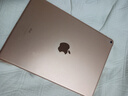 【二手95新】Apple iPad二手蘋果平板電腦2017-22款Pro Air mini二手平板 19款A(yù)ir3-256g-(10.5寸） 曬單實拍圖