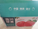 洛川蘋果陜西延安特產(chǎn)紅富士時(shí)令蘋果水果禮盒送蘋果生鮮新鮮脆甜整箱批發(fā) 10斤爆賣70-75mm（凈重8.5斤） 曬單實(shí)拍圖