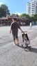 olevo旅行家遛娃神器輕便嬰兒推車可折疊登飛機(jī)火車兒童口袋推車0-6歲 曬單實(shí)拍圖