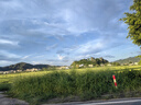 Hi!papa海龜爸爸兒童防曬霜小雪山防曬兒童寶寶專(zhuān)用物理防曬90g 曬單實(shí)拍圖