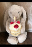 Jellycat害羞生日米色邦尼兔動(dòng)物毛絨玩偶安撫禮物送禮娃娃生日禮物520 褐色 Medium 曬單實(shí)拍圖