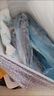 5斤新鮮海捕鮮活鲅魚(yú)馬鮫魚(yú)整條冷凍鲅魚(yú)批發(fā)新鮮大馬鮫魚(yú)整魚(yú)商 鲅魚(yú)整條5斤（8兩左右一條） 曬單實(shí)拍圖