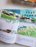 中國百年文學(xué)經(jīng)典橋梁書(shū)（共8冊）  曬單實(shí)拍圖