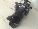 尼康（Nikon）Z5II全畫幅微單相機 Z52 單機/套機 尼康云創(chuàng) 照片直出 機身防抖  Z5二代微單相機 Z5II 24-200mm F/4-6.3 VR 官方標配【下單送鋼化膜+清潔套+灃標座 曬單實拍圖