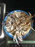 切蟹梭子蟹蟹塊蟹股新鮮鮮活冷凍切割蟹螃蟹海蟹海鮮水產(chǎn)批發(fā) (2斤【蟹塊】) 曬單實(shí)拍圖