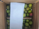 黃六爺半邊紅四川脫骨李子5斤茵紅李當季新鮮水果青紅脆甜空心五月脆李 5斤 20-25g 【小果】頭茬現摘 曬單實(shí)拍圖