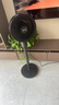 格力（GREE）【香薰?jié)M屋】遙控空氣循環(huán)扇電風扇落地扇輕音家用大風力搖頭臥室節(jié)能小風扇空調(diào)伴侶 FXD-1902Bg3 曬單實拍圖