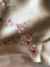 吳蠶里（WUCANLI）春夏新款絲巾蘇繡手工刺繡真絲紗巾桑蠶絲披肩女禮盒 香檳色 曬單實(shí)拍圖