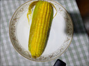 京鮮生云南水果玉米5斤 鮮甜玉米棒 甜脆多汁 新鮮蔬菜 源頭直發(fā)包郵 曬單實(shí)拍圖