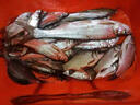 北翔全金屬紡車輪路亞漁輪遠(yuǎn)投無(wú)間隙魚輪大全釣魚輪子海竿海桿磯釣輪 美式Ac金屬搖臂線杯 3000系列 曬單實(shí)拍圖