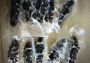 久年大連即食海參500g8-12只 遼刺參官方旗艦店京東自營(yíng) 生鮮海鮮盒裝 曬單實(shí)拍圖