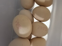 好念頭可生食雞蛋 30枚2斤無腥無菌鮮蛋無抗生激素兒童營養(yǎng)孕婦源頭直發(fā) 曬單實拍圖