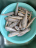 黃小漁寧德鮮捕小黃魚(yú)2斤 15-18條/斤 冷凍黃花魚(yú)海捕燒烤食材 生鮮魚(yú)類 曬單實(shí)拍圖