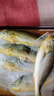 海名威 冷凍寧德三去黃花魚600g/2條 大黃魚 生鮮魚類 海鮮水產(chǎn)  曬單實(shí)拍圖