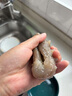 牧參人大連鮮活海參鮮食海參即食海參野生新鮮刺參開(kāi)袋即食孕婦營(yíng)養(yǎng)滋補(bǔ) 鮮食海參 5-10頭 曬單實(shí)拍圖