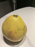 京鮮生 云南傣柚1粒裝 單果600g+ 生鮮水果 源頭直發(fā)包郵 曬單實(shí)拍圖