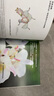 發(fā)明公司套裝全4冊 7-10歲科幻漫畫(huà)橋梁書(shū) 小學(xué)生青少年物理科普讀物冒險故事暑假課外閱讀書(shū)籍 曬單實(shí)拍圖