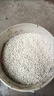 【正品原裝】復合肥19-19-19氮磷鉀農業(yè)肥蔬菜水果玉米水稻有機肥 5公斤/10斤[原包裝發(fā)貨](méi) 曬單實(shí)拍圖