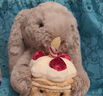 Jellycat害羞生日米色邦尼兔動物毛絨玩偶安撫禮物娃娃生日七夕情人節(jié)禮物 褐色 Medium 曬單實拍圖