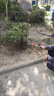 短云農(nóng)用電動(dòng)噴霧器手提式充電果樹打藥機(jī)抽水洗車機(jī)高壓隔膜雙泵機(jī) 鋰電池20A頂配雙核泵 50米高壓管 曬單實(shí)拍圖