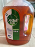 滴露（Dettol）消毒液衣物除菌液洗衣消毒水1.8L殺菌除螨 家居寵物消毒除菌  曬單實拍圖