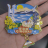 丹鴻文創(chuàng)青海文創(chuàng)冰箱貼茶卡鹽湖熱門旅游景點烤漆紀念品青海湖伴手禮 大柴旦翡翠湖 曬單實拍圖