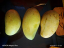 正宗凱特芒果 肉厚甜心芒熱帶當(dāng)季新鮮水果整箱 帶箱2斤單果300g+ 曬單實(shí)拍圖