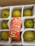 蘇州樹(shù)山翠冠梨【產(chǎn)地直發(fā)】新鮮水果樹(shù)山梨帶箱10斤梨子大果禮盒 10斤 嘗鮮大果 【新品推薦】 曬單實(shí)拍圖