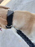 橙央狗狗牽引繩中大型犬寵物狗鏈子項圈金毛薩摩耶哈士奇遛狗繩子wj L-大型 曬單實拍圖
