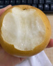 星派果現(xiàn)摘山東豐水梨當季脆甜多汁黃金黃皮雪黃花大翠冠梨子皮薄超甜   豐水梨   精選帶箱3斤 曬單實拍圖