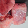 東來順 內(nèi)蒙古羔羊原切羊小腿塊1斤 羊玉環(huán)羊腿后腱骨塊 清真中華老字號 曬單實拍圖