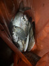 光威（GW）4.5米魚(yú)竿手竿水色良辰戰(zhàn)二代超輕超硬28調(diào)釣魚(yú)桿綜合大物鰱鳙竿 曬單實(shí)拍圖
