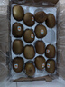佳沛（zespri）新西蘭陽光金奇異果原箱 16粒巨無霸 單果重約202-230g   獼猴桃 曬單實拍圖