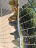 貝比嬰兒襪子夏季薄款純棉a類嬰幼兒寶寶夏天春秋新生兒中筒襪不勒腿 曬單實拍圖