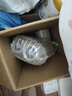 伊利金領冠育護1段900g新生兒嬰兒寶寶配方奶粉0-6個月 1段 育護 900g 6罐 曬單實拍圖