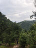 安踏（ANTA）探蹤丨戶(hù)外徒步防潑水登山運動(dòng)鞋女秋季減震耐磨越野跑鞋 基礎黑-2 37.5 (240mm) 女37.5 曬單實(shí)拍圖