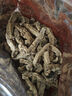 老四川（laosichuan）五香牛肉干3斤 牛肉片 獨立小包裝 中華老字號 四川重慶特產(chǎn)零食 五香牛肉干1500g【大包3斤裝】 金角老四川牛肉干 曬單實拍圖